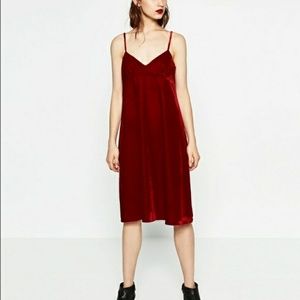 Zara red velvet dress